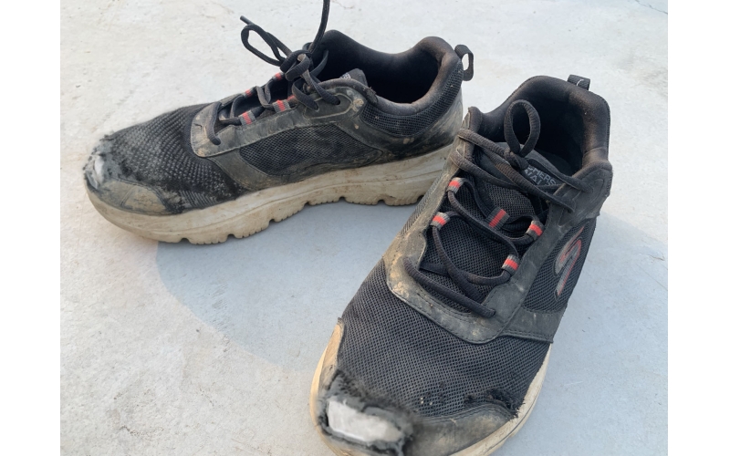 【天華人】光榮的伙伴，無聲的陪伴